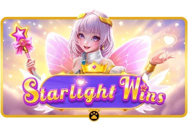 bajipartner